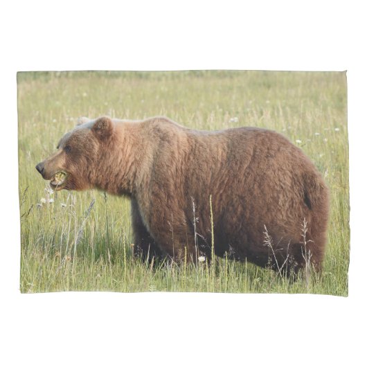 Standaard loods voor grizzly-beer kussensloop (Voorkant)