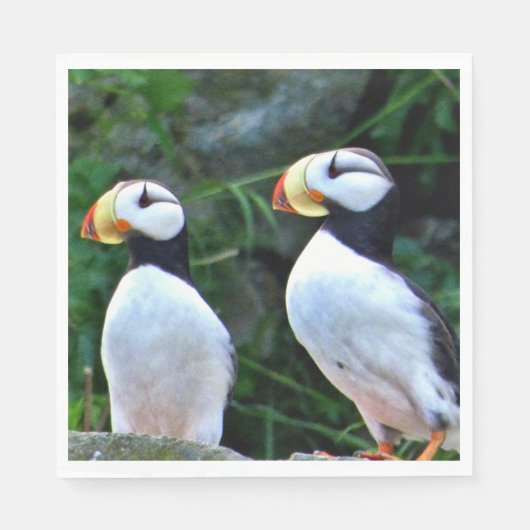 Standaard Luncheon papieren servetten w / papegaai (Voorkant)