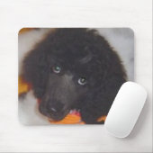 Standaard Muismat porseleinen (Met muis)