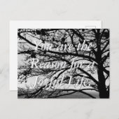 Standaard Natuur zwart-wit Briefkaart (Voorkant / Achterkant)