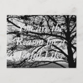 Standaard Natuur zwart-wit Briefkaart (Voorkant)