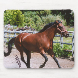 Standaard paarden Galloping Mousepad Muismat