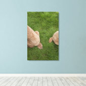 Standaard poedel 5 canvas afdruk (Insitu (Houten vloer))