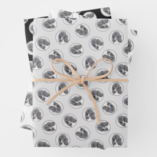 Standaard Poedel Schilderen Parti Zwart Wit Hond A Inpakpapier Vel (In situ)