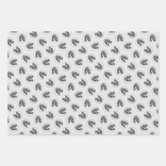 Standaard Poedel Schilderen Parti Zwart Wit Hond A Inpakpapier Vel (Voorkant)