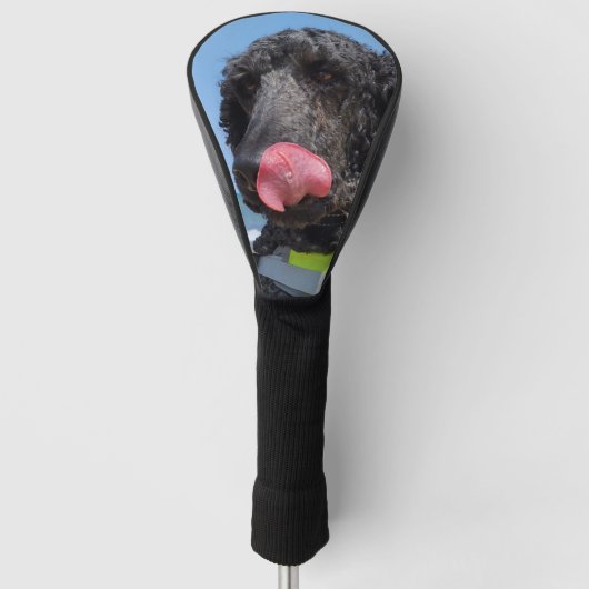 Standaard Poodle Golfheadcover (Voorkant)