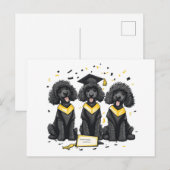 Standaard Poodle Honden Afstuderen Briefkaart (Voorkant / Achterkant)
