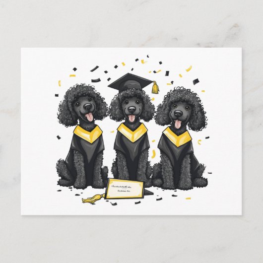 Standaard Poodle Honden Afstuderen Briefkaart (Voorkant)