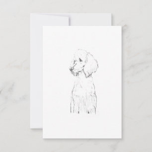 Standaard Poodle Honden Illustratie Bedankkaart