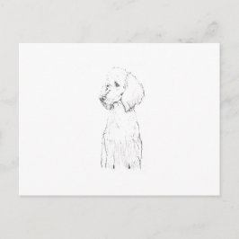 Standaard Poodle Honden Illustratie Briefkaart