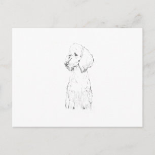 Standaard Poodle Honden Illustratie Briefkaart