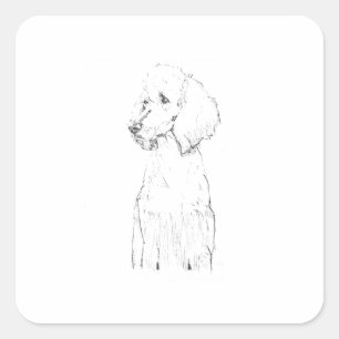 Standaard Poodle Honden Illustratie  Vierkante Sticker