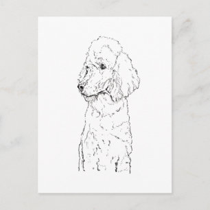 Standaard Poodle-hondillustratie - Inktkunst Briefkaart
