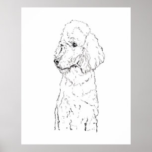 Standaard Poodle-hondillustratie - Inktkunst Poster