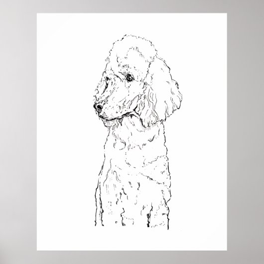 Standaard Poodle-hondillustratie - Inktkunst Poster (Voorkant)