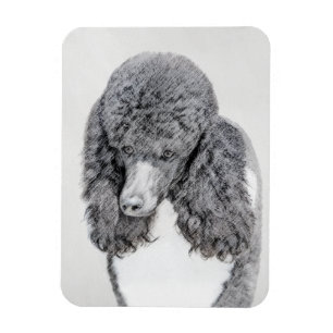 Standaard Poodle Zwart Parti Schilderij - Honden K Magneet