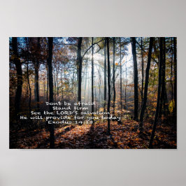 Standaard — poster