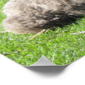 Standaard Poster porseleinen (Hoek)