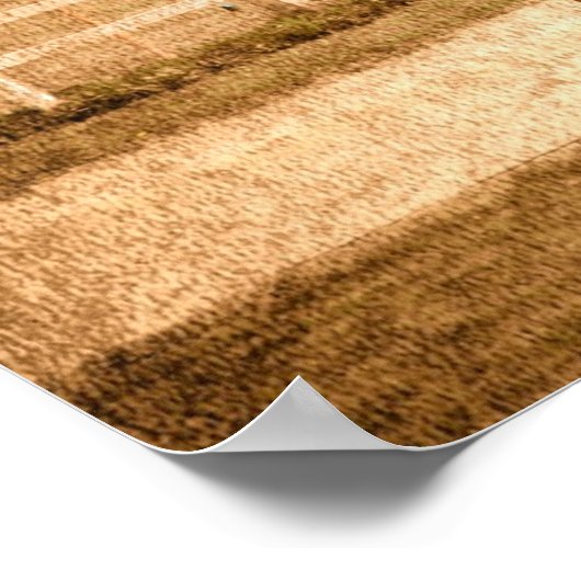 Standaard races poster (Hoek)