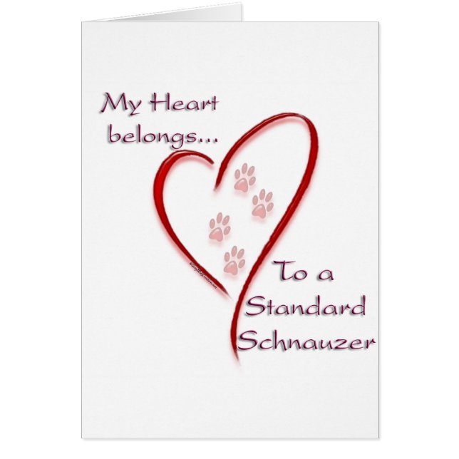 Standaard Schnauzer hart hoort erbij (Voorkant)