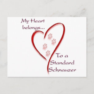 Standaard Schnauzer hart hoort erbij Briefkaart