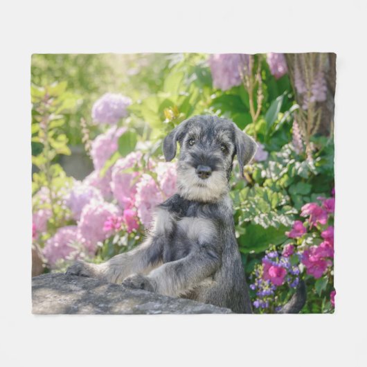 Standaard Schnauzer Puppy in een bloeiende tuin Fleece Deken (Voorkant (Horizontaal))