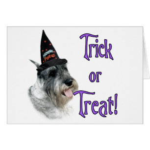 Standaard Schnauzer Trick