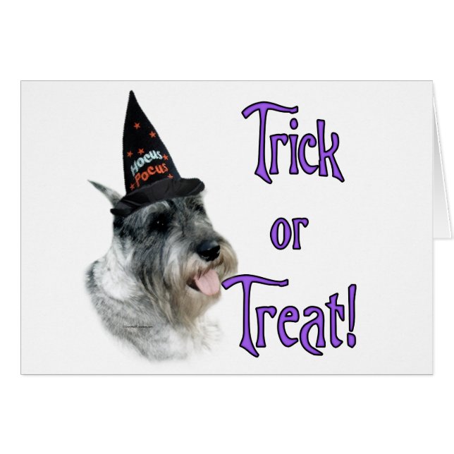 Standaard Schnauzer Trick (Voorkant Horizontaal)