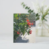 Standaard Trumpet-Briefkaart Briefkaart (Staand voorkant)