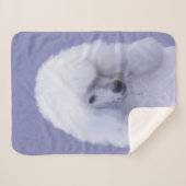 Standaard Wit-kleurenschilderen - Oorspronkelijke  Sherpa Deken (Voorkant (horizontaal))