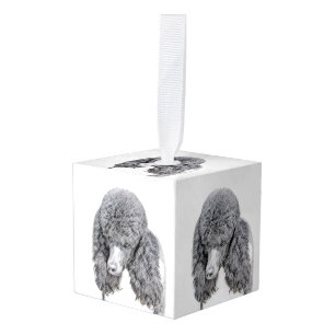 Standaard zwart-witschilderwerk met wieltjes decoratie