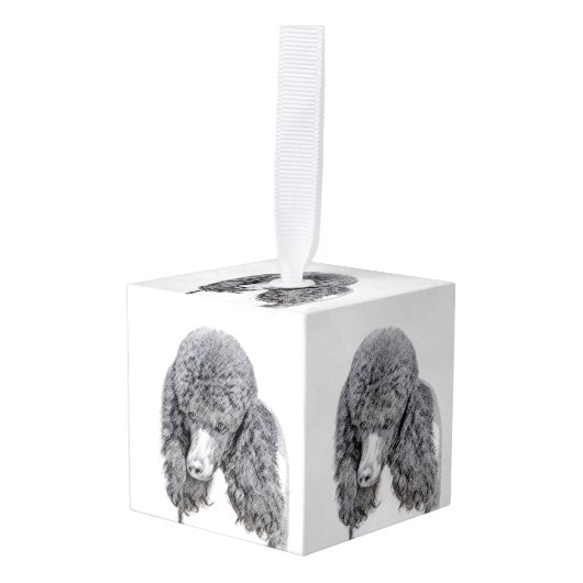 Standaard zwart-witschilderwerk met wieltjes decoratie (Voorkant hoekig)