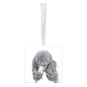 Standaard zwart-witschilderwerk met wieltjes decoratie (Rechts)