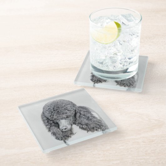 Standaard zwart-witschilderwerk met wieltjes glazen onderzetter (Schuin)