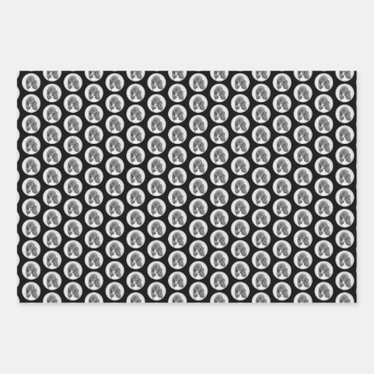 Standaard zwart-witschilderwerk met wieltjes inpakpapier vel (Voorkant 3)