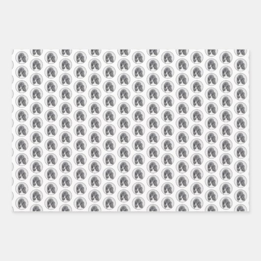 Standaard zwart-witschilderwerk met wieltjes inpakpapier vel (Voorkant 2)