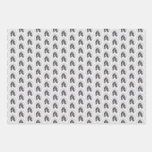 Standaard zwart-witschilderwerk met wieltjes inpakpapier vel (Voorkant)