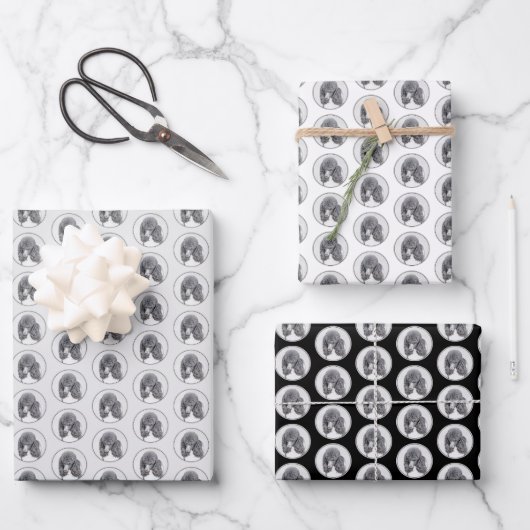 Standaard zwart-witschilderwerk met wieltjes inpakpapier vel (Voorkant)