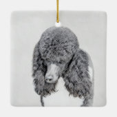 Standaard zwart-witschilderwerk met wieltjes keramisch ornament (Achterkant)