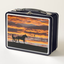 Standaardbox met draaiend paard voor racegebruik