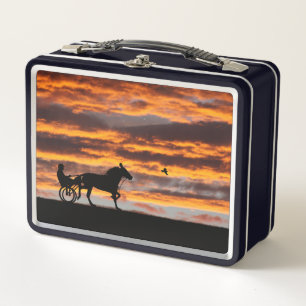 Standaardbox met draaiend paard voor racegebruik