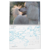 Standaardgroep 2010 kalender (Mar 2027)