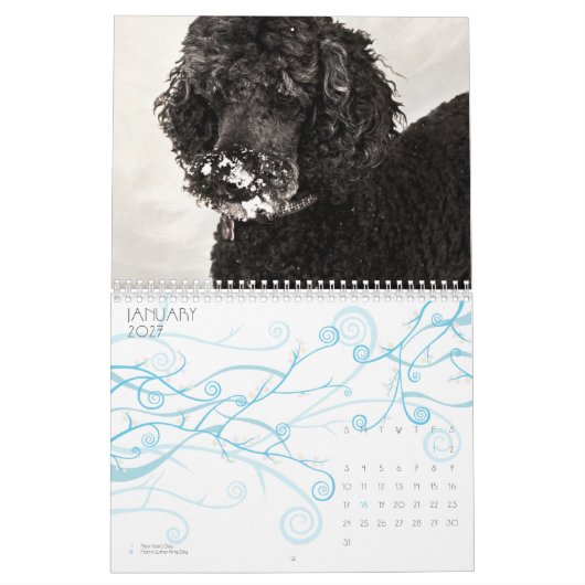 Standaardgroep 2010 kalender (Jan 2027)