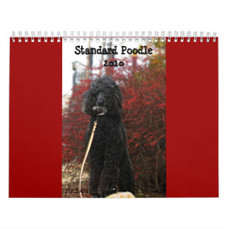 Standaardgroep 2010 kalender