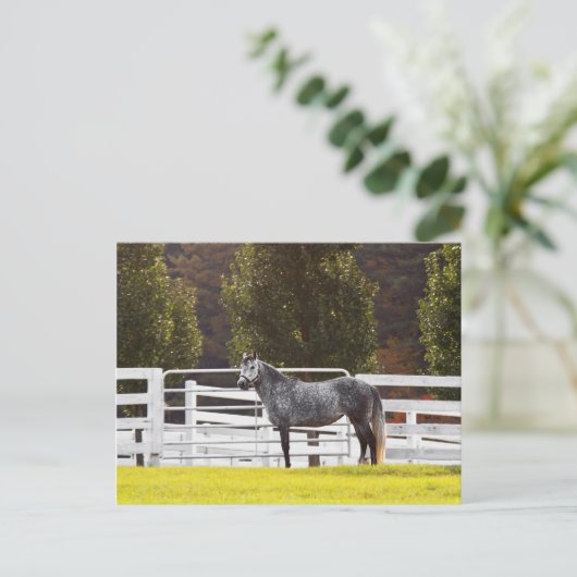 Standaardgroep Briefkaart (Staand voorkant)