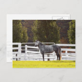 Standaardgroep Briefkaart (Voorkant / Achterkant)