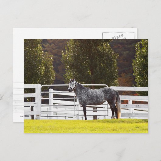 Standaardgroep Briefkaart (Voorkant / Achterkant)