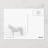 Standaardgroep Briefkaart (Achterkant)