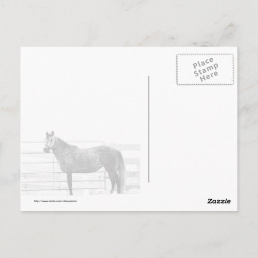 Standaardgroep Briefkaart (Achterkant)