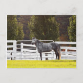 Standaardgroep Briefkaart (Voorkant)